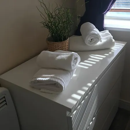 Apartament Leafy North Circular Flat